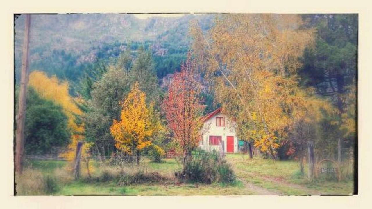 Cabanas Ucihuen Lago Puelo Dış mekan fotoğraf